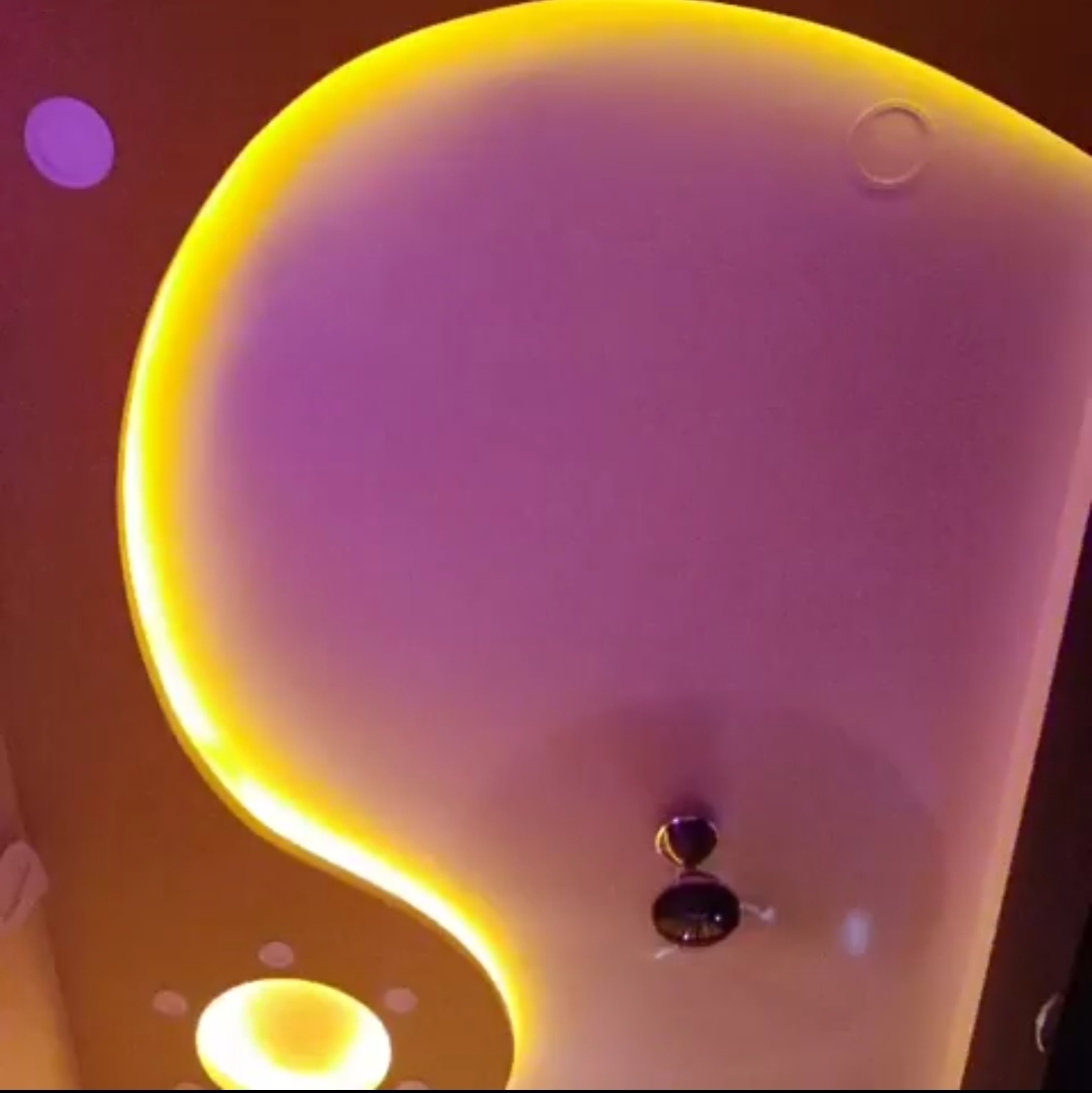 Vasant Oasis interior 5